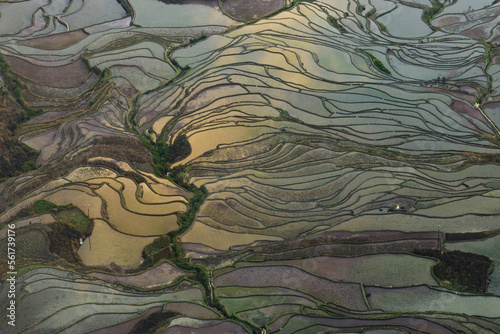 Aerial view of rice terraces at sunrise with water