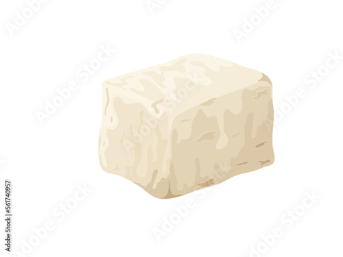 Tofu pieces soy bean. Curd nutrition , healthy food. Vegan organic soy cheese. Vector illustration isolated on white background