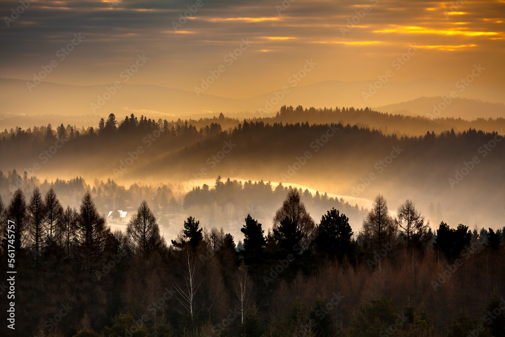 Orange morning sunrays in the misty forest, Bieszczady, Poland