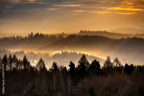 Orange morning sunrays in the misty forest, Bieszczady, Poland