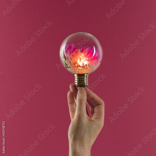 Female hand holds glowing light bulb with purple flowers inside against magenta background