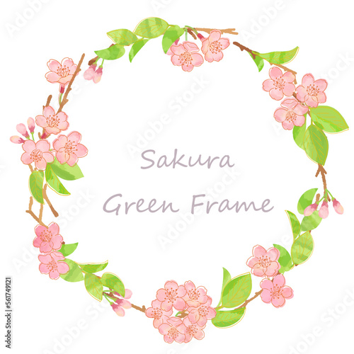 桜の新芽と花のリースフレームイラスト素材