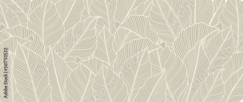 Botanical foliage line art background vector illustration. Tropical palm leaves white drawing contour pattern background. Design for wallpaper, home decor, packaging, print, poster, cover, banner.