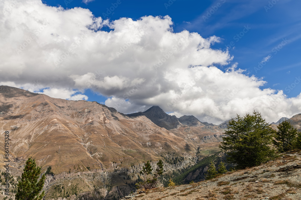 Panoramic shot of Alpine gorge with sparse green pines and autumn vegetation on slopes, high-voltage power line wires cross it under blue sky in Gran Paradiso National Park. Aosta Valley, Italy