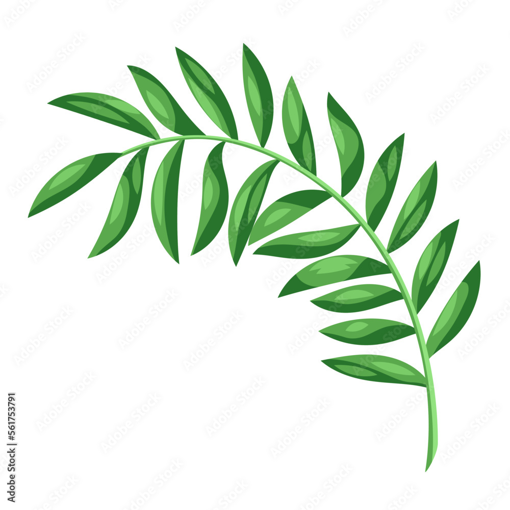 Illustration of stylized palm leaf. Image of tropical foliage and plant. Illustration of stylized palm leaf. Image of tropical foliage and plant.
