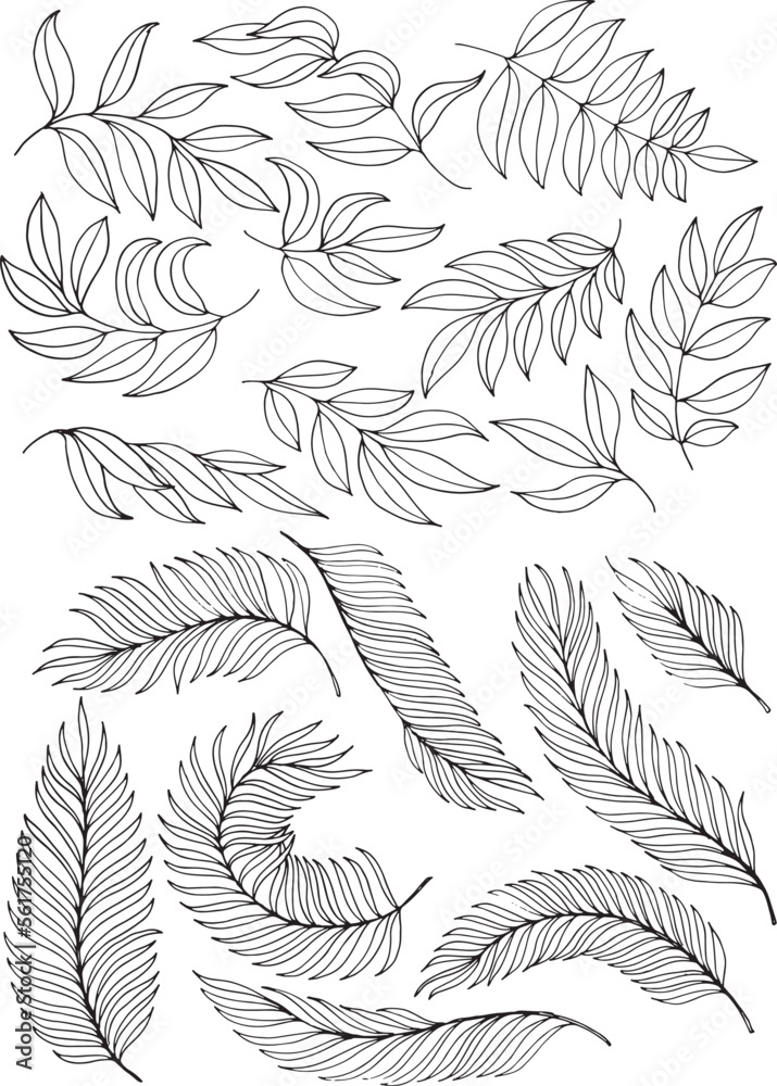 Collection of different shapes branches and leaves, doodle illustration