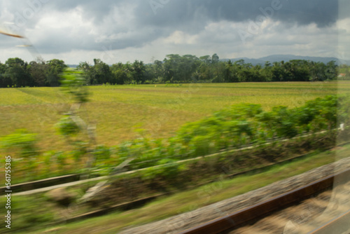 Beautiful blurred landscape of railroad and nature scenery captured from a train window.