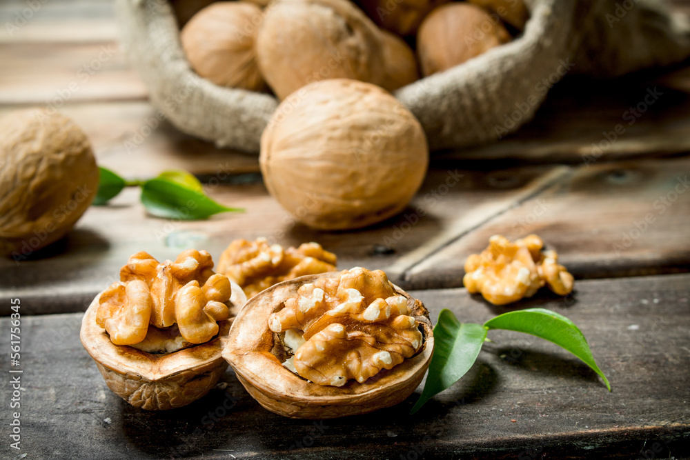 Walnuts in a bag . Walnuts in a bag .