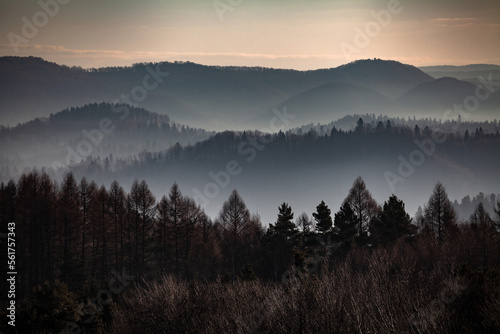 Łagodne wzgórza porośnięte lasem w porannej mgle, Bieszczady, Polska