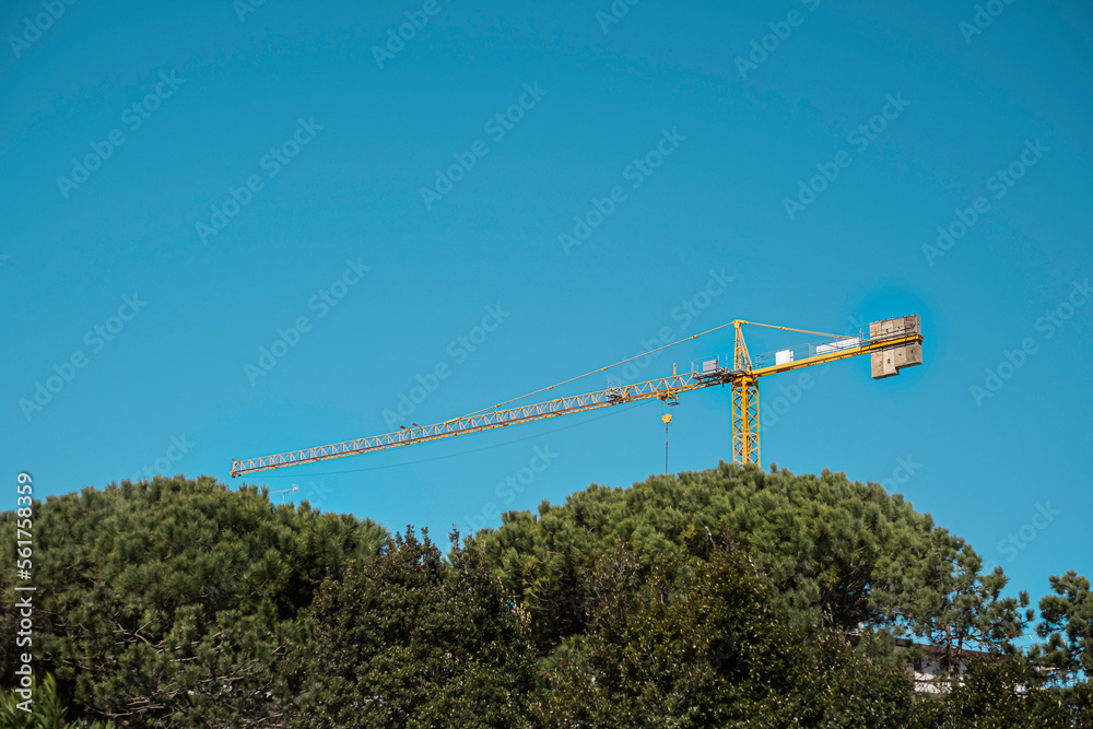 Construction and decoration of the building. Tower crane.