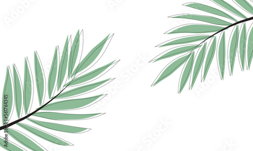 Stroke palm leaves vector illustration isolated on white background