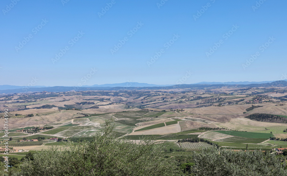 Fototapeta premium The rural landscape near Pienza in Tuscany. Italy