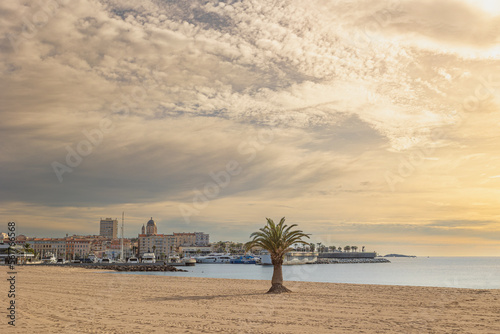 vue d'un palmier sur une plage  © ALF photo
