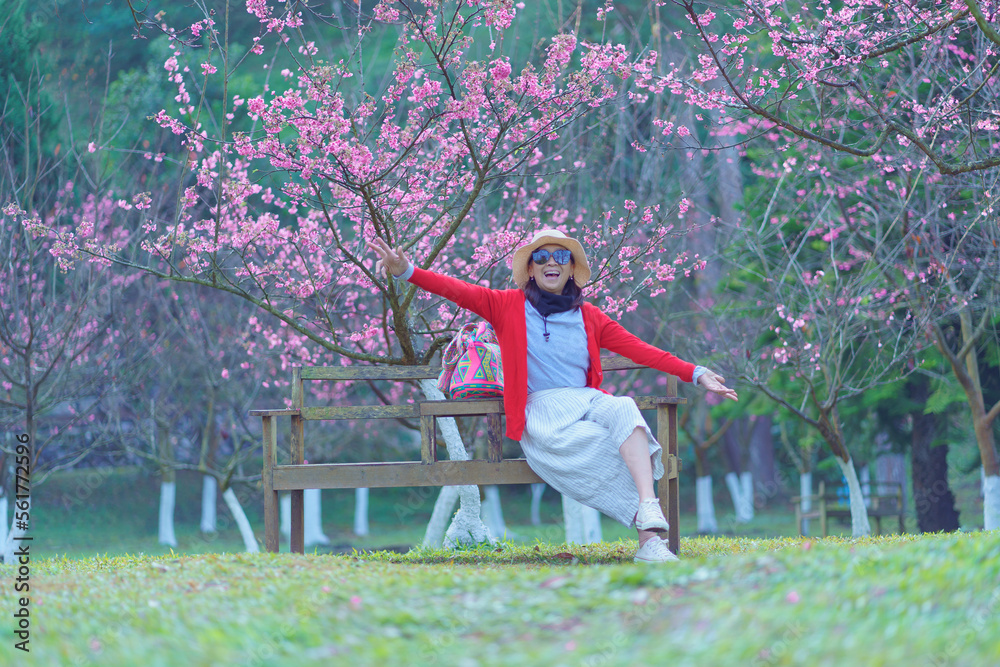 A woman wearing a red top and straw hat enjoying untouched nature around beautiful cherry blossom Sakura flowers or Prunus Cerasoides garden in winter that blooms. Natural Concept.