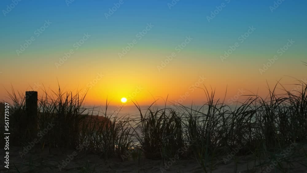 Vivid Sunset scenic shore near coast countryside leaves nature  camera handle near seascape Cliff