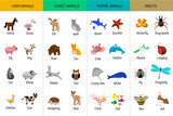 Basic animal groups and biological educational zoology table. Education Worksheet. Farm animals, forest animals, sea animals, insects. Set.