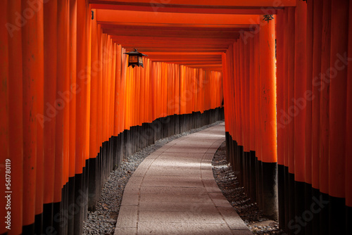 Torii Gate At Fushimi Inari Jinja, Shinto Shrine