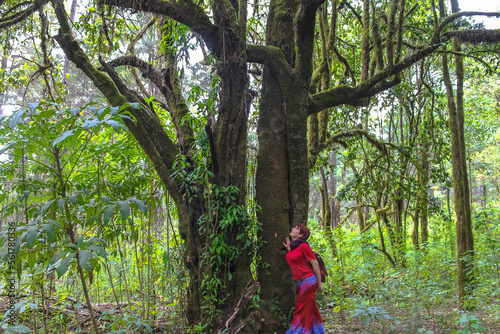 caucasian woman appreciating the beauty of a tree and enjoying a walk in the forest