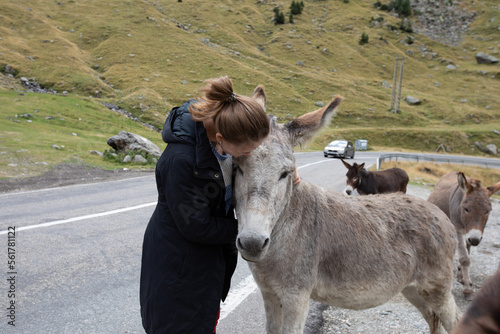 a beautiful girl in a black jacket kisses and strokes a donkey near the road in the mountains. a herd of donkeys