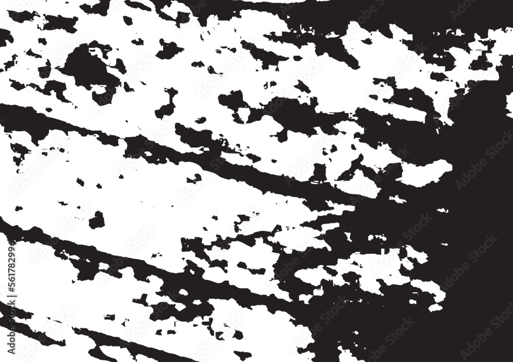 Obraz premium black and white grunge texture vector