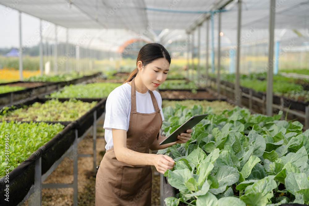Farmers use the main information network in the internet from their tablets to monitor, test and select new crop methods for farmers. Farmers use the main information network in the internet from their tablets to monitor, test and select new crop methods for farmers.