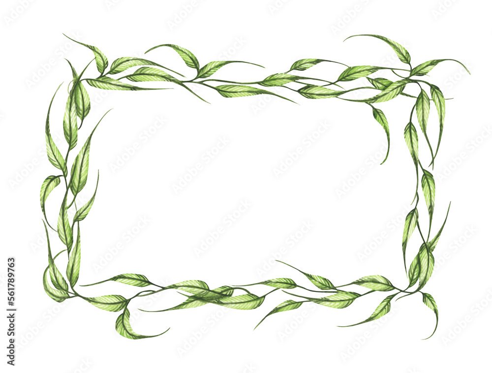 Fototapeta premium Watercolor hand painted banner with green leaves and branches. Spring or summer flowers for invitation, wedding or greeting cards. Green leaves wreath.
