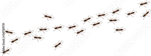 Slika na platnu Ant trail line in cartoon style isolated on white background
