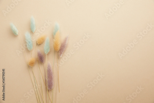 top view composition of romantic dried flowers on a pastel beige background