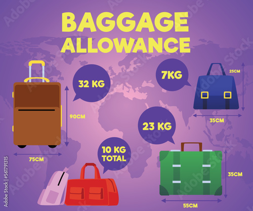 Banner about baggage allowance, flight rules flat style, vector illustration