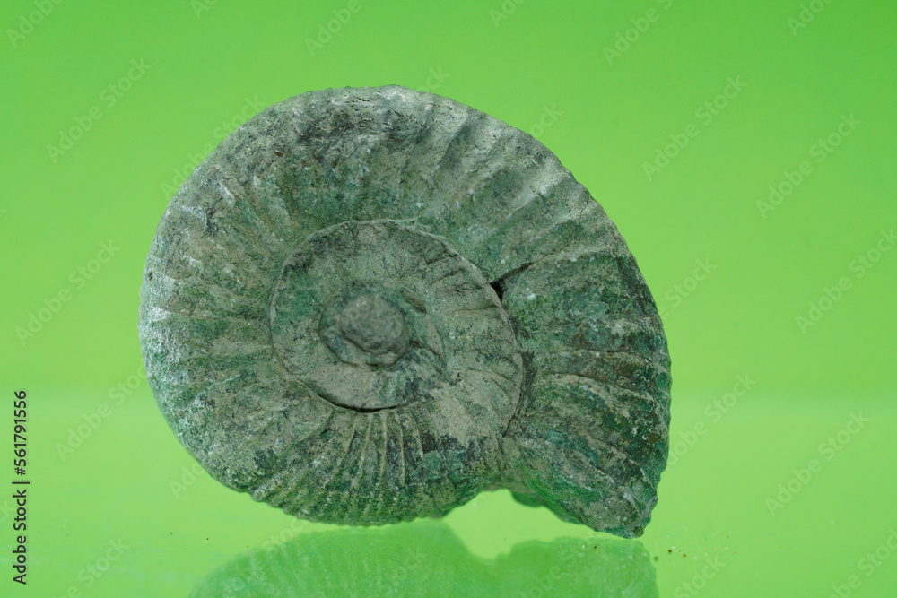 natural mineral on a green background with crystal quartz crystals natural mineral on a green background with crystal quartz crystals