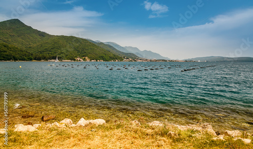 Seascape with mussel and oyster farms