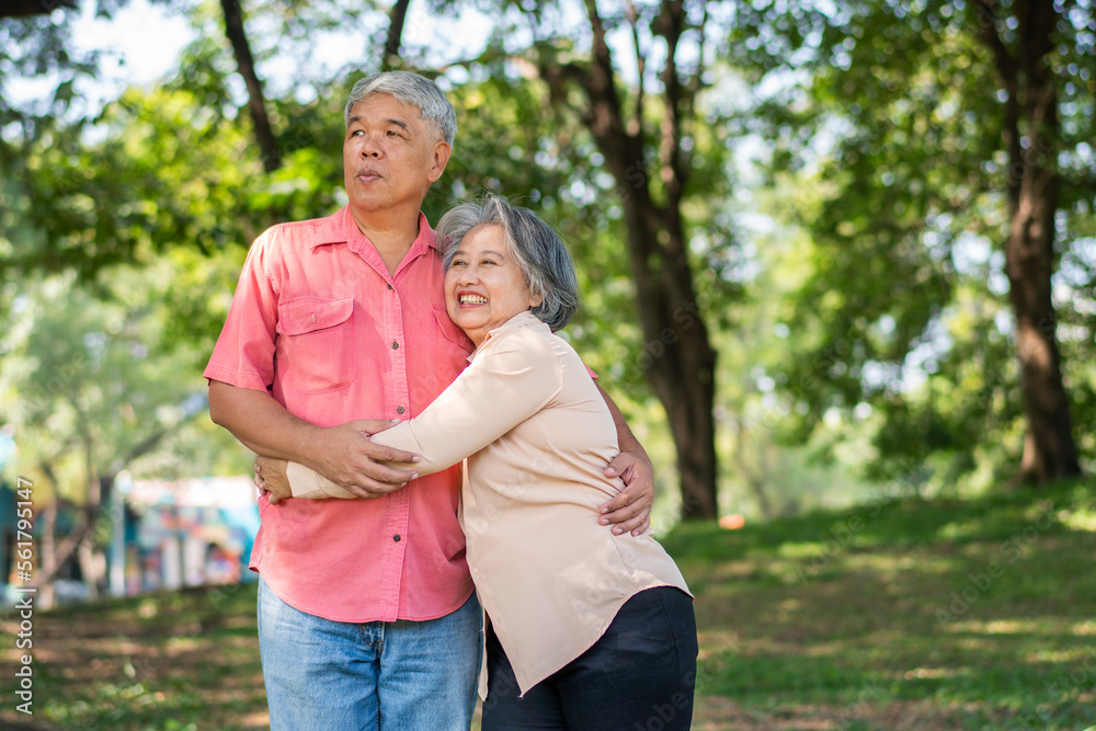 Portrait of lovely elderly couple hugging each other with love and happiness in a park outdoor. Happy smiling Elderly couple enjoying with positive emotions at garden Portrait of lovely elderly couple hugging each other with love and happiness in a park outdoor. Happy smiling Elderly couple enjoying with positive emotions at garden