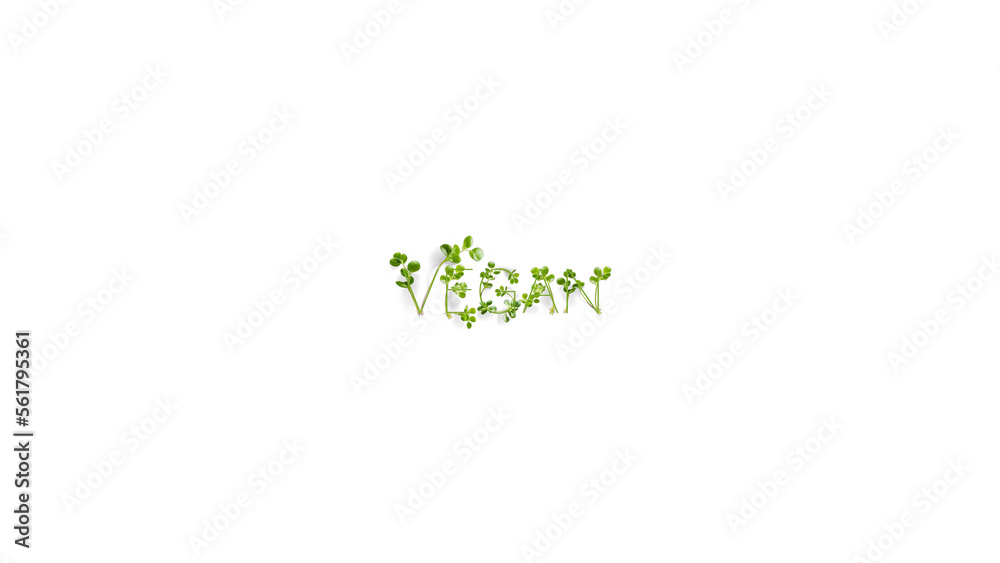 Fresh Lentil Microgreen Sprouts Spelled Out The Word Vegan Motion text Close up White background Fresh Lentil Microgreen Sprouts Spelled Out The Word Vegan Motion text Close up White background