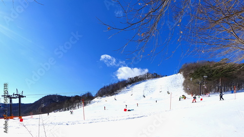 Wallpaper Mural 草津温泉天狗山スキー場2 Torontodigital.ca