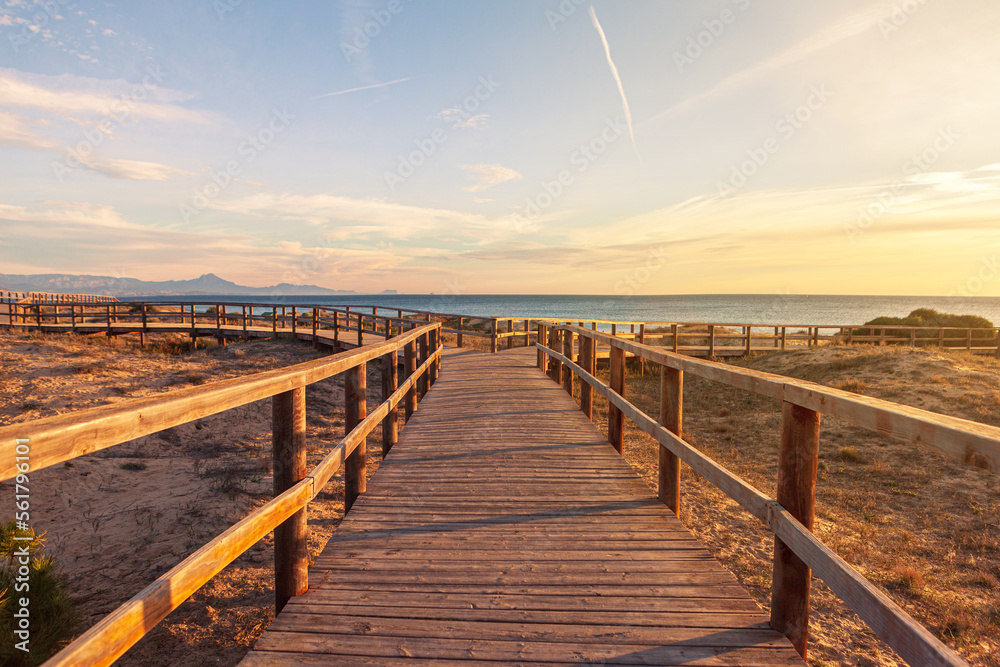 walkway with two paths at sunrise on the beach
