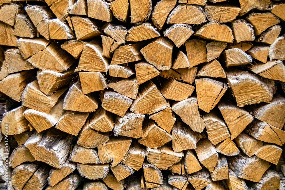 Photography on theme big wall of stacked oak tree logs in cracks Photography on theme big wall of stacked oak tree logs in cracks