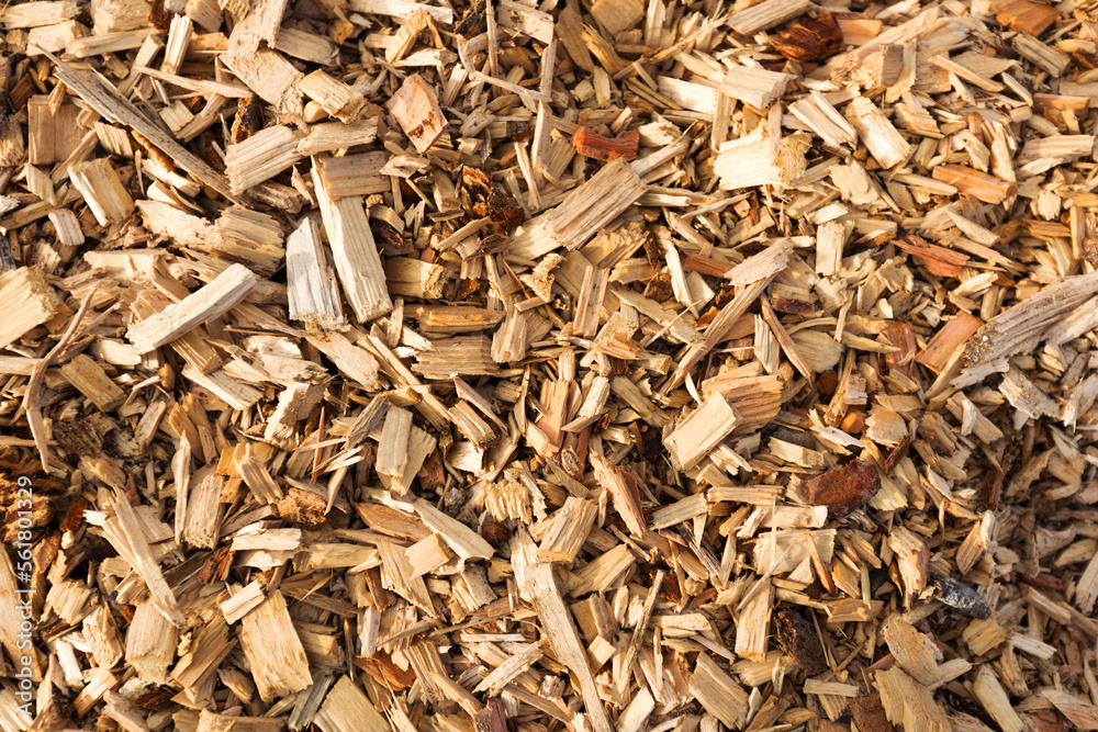 Copeaux de bois pour paillage de jardin Stock Photo Adobe Stock