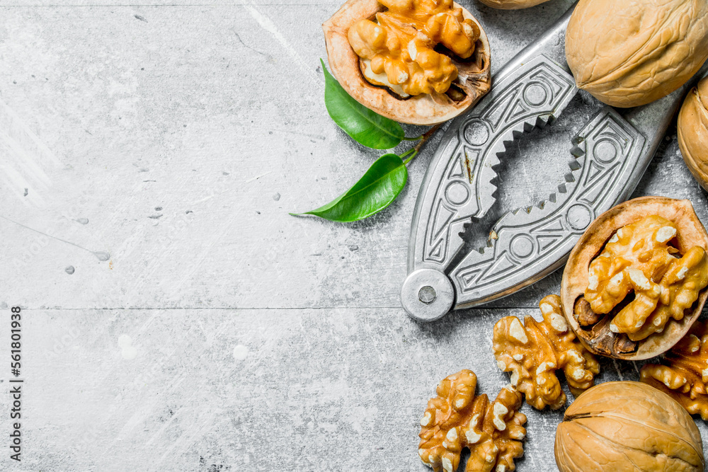 Fototapeta premium Shelled walnuts with a Nutcracker . .