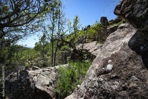 Drakensberge photo