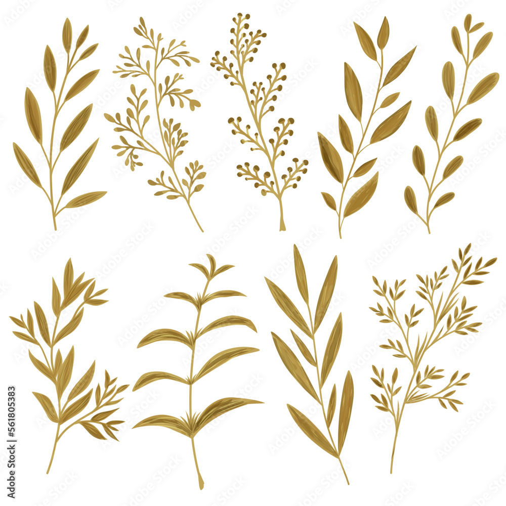 Fototapeta premium Hand drawn Aesthetic leaf abstract watercolor effect