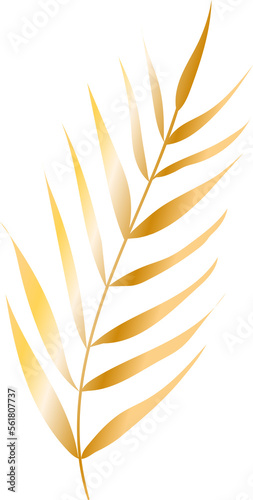 Golden shine isolated palm leaf