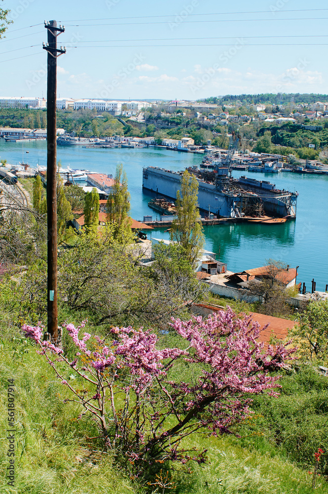 View of the city, bay and harbor with ships of Sevastopol.