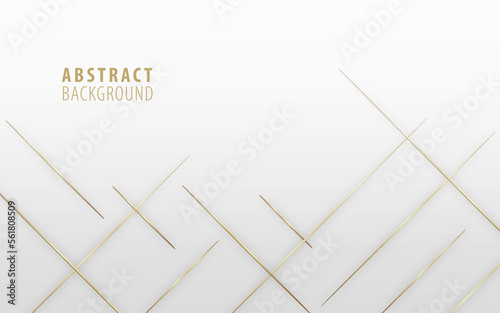 Modern abstract premium gray background with thin gold lines with shadow. Elegant geometric diagonal gold stripes design concept. Vector illustration 