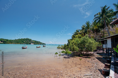 Tropical landscape with sea bay.