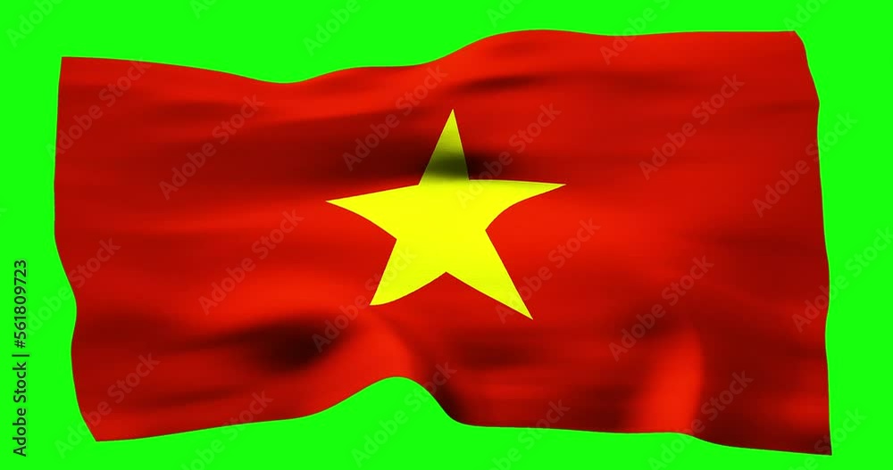 Flag of Vietnam realistic waving on green screen. Seamless loop animation with high quality Flag of Vietnam realistic waving on green screen. Seamless loop animation with high quality