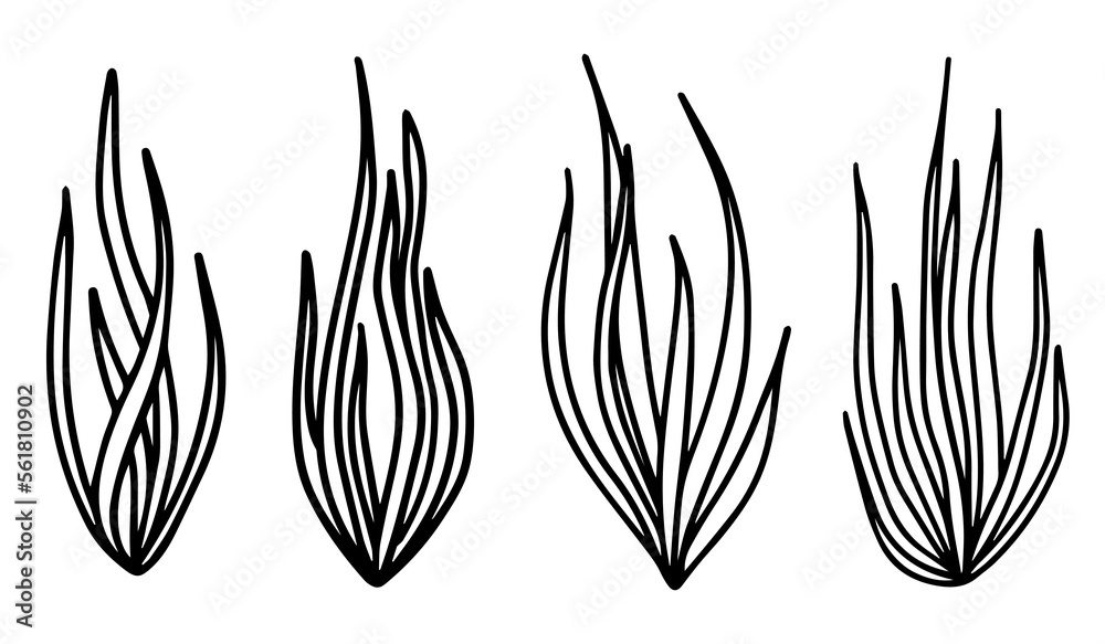 Line art set of plants herbs line for decorative design. Line art set of plants herbs line for decorative design.