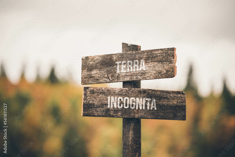 vintage and rustic wooden signpost with the weathered text quote terra incognita, outdoors in nature. blurred out forest fall colors in the background.
