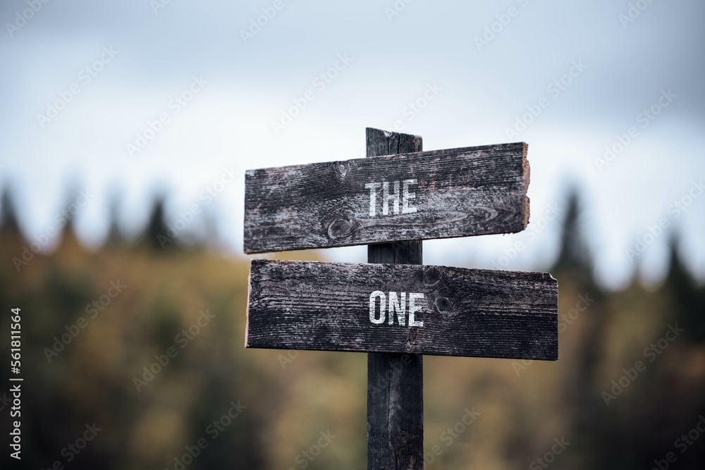vintage and rustic wooden signpost with the weathered text quote the one, outdoors in nature. blurred out forest fall colors in the background.