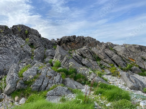 Amazing rocky landscape, green grass and wild flowers, mountains, fjords