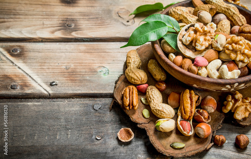 Different kinds of nuts in bowl with leaves.